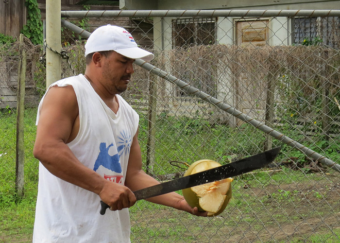 Panama
Kohalik kookospähkli lahkamist demonstreerimas. 

Panama, jaanuar 2014

Rene Ottesson
