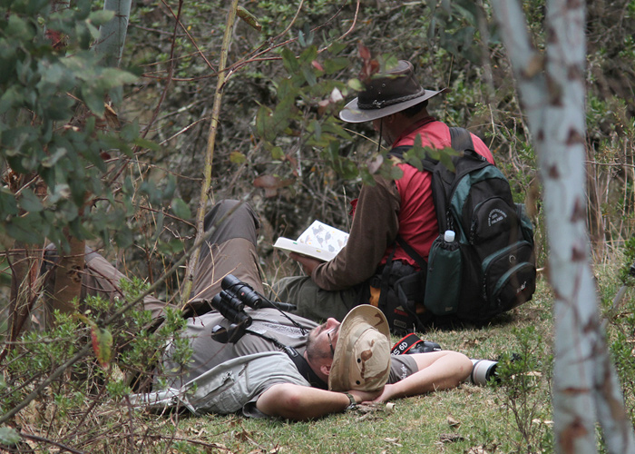 Magame ja õpime
Peruu, sügis 2014

UP
Keywords: birders