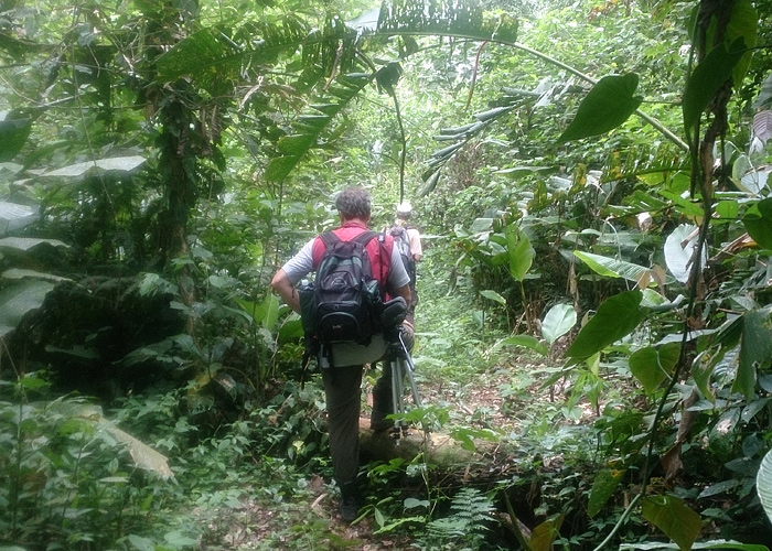 Mehed metsas
Peruu, sügis 2014

Hannes Pehlak
Keywords: birders