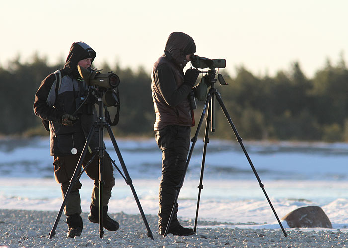 Kalle ja Lauri Undvas
Saaremaa, märts 2013

UP
Keywords: birders