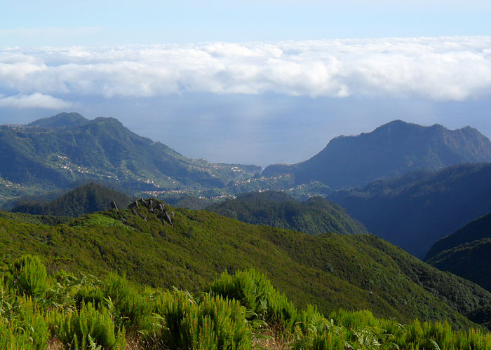 Madeira
Madeira, august 2011

UP
