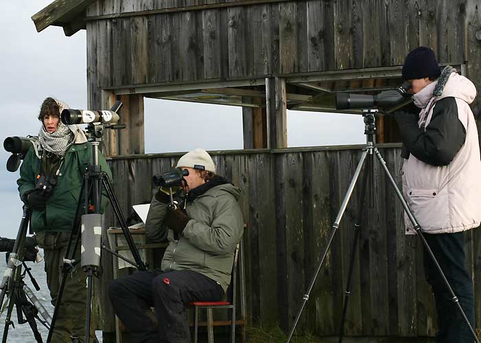 ooo
Annika, Antero ja Margus Põõsaspeal, november 2004 

UP
Keywords: birders lindurid birdwatch