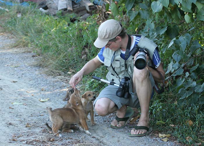 Koeri karjatamas
Chao Samran
Keywords: Tai Thailand