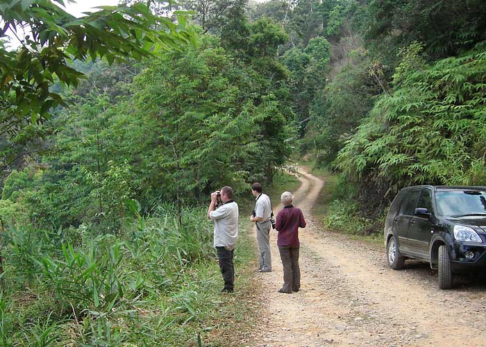 Vaatleme
Kaeng Krachan
Keywords: Tai Thailand