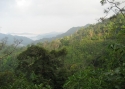 t_Kaeng-Krachan-12_2006---4.jpg