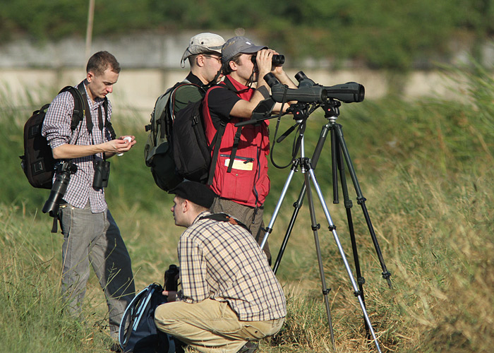 Muang Borangi kalatiigid
Taimaa, jaanuar 2012

UP
Keywords: birders