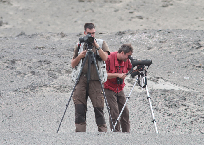 Hannes ja Rene
Peruu, sügis 2014

UP
Keywords: birders