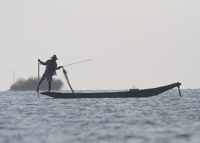 Inle järve paadimees
Inle järve kalamehed kuulsad oma sõudmisstiili poolest. Paadil seistakse ühel jalal ja teist jalga kasutatakse mõlaga vehkimiseks.

Birma, jaanuar 2012

UP
