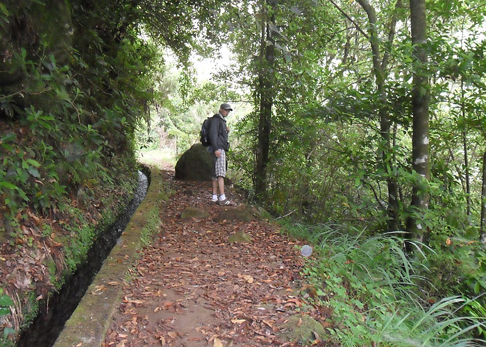 Levada
Madeira, august 2011. Levadasid mööda jalutades näeb kohalikke metsaliike.

UP
