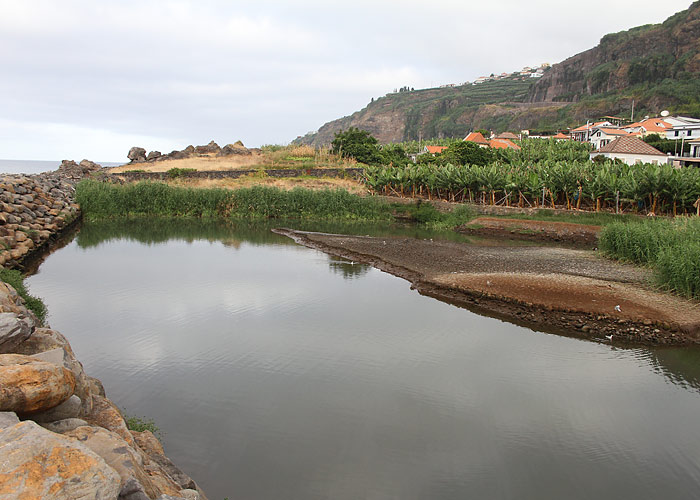 Lugar De Baixo
Madeira, august 2011. Saare ainuke märgala on 200x200 m suurune tiik. Siin on nähtud palju transatlantilisi haruldusi.

UP
