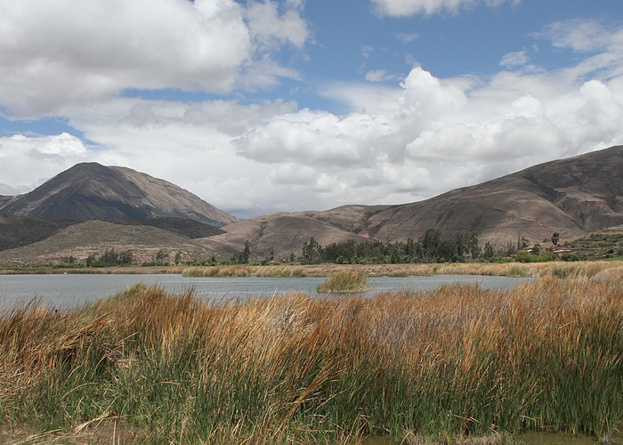 Huarcapay järv - hea linnukoht
Peruu, sügis 2014

UP
