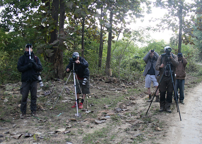 Mount Victorial vaatlemas
Birma, jaanuar 2012

UP
Keywords: birders