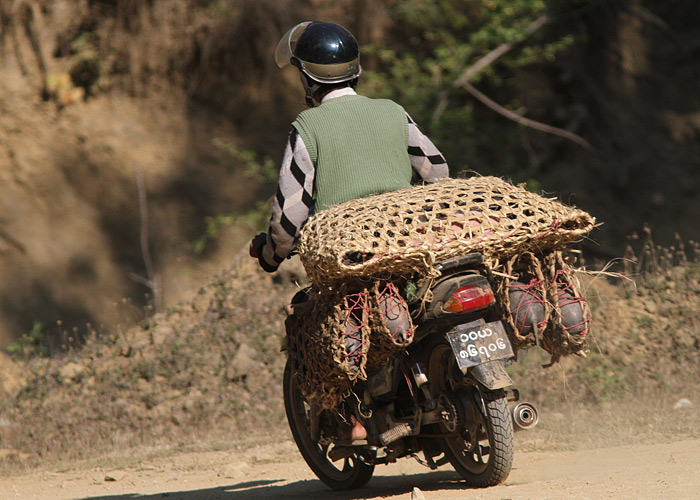 Põrsaste transport
Põrsaste transpordiks spetsiaalselt tuunitud tsikkel.

Birma, jaanuar 2012

UP
