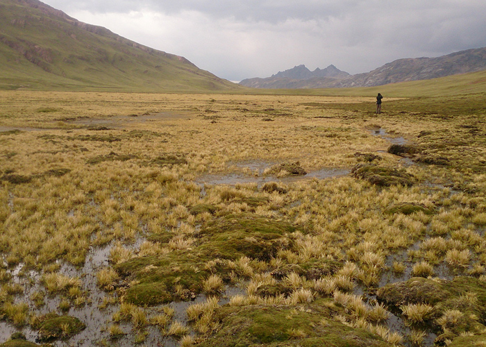 Paramo
Peruu, sügis 2014

Hannes Pehlak
