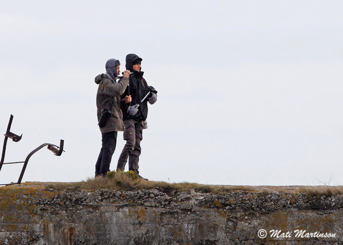 Bongaritel on masendus
Sääre, Saaremaa, 12.11.2013

Mati Martinson
Keywords: birders