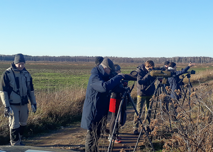 Ruugerüdi bongarid
Korva luht, 14.11.2021

Raul Vilk
Keywords: birders