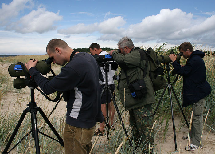 Kõrbetülli bongamas
Haversi, 20.7.09


Keywords: birders