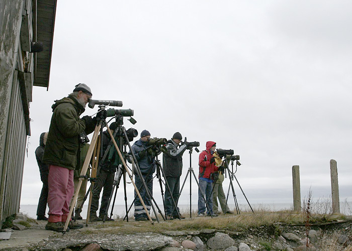 Estbirdingu sügiskoosolek 2009
Põõsaspea, 24.10.2009

Hannes Pehlak
Keywords: birders