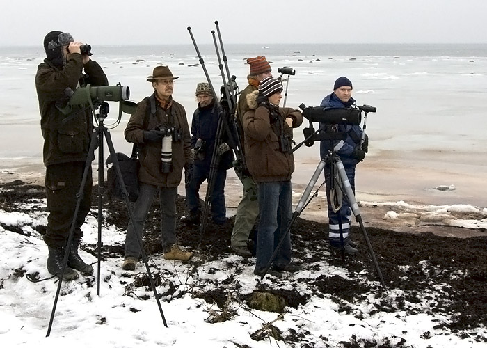 Paljassaare 8.2.2009 - mägikiur kontrolli all
Jaanus, Risto, Gustav, Jan, Uku ja Kuido

autor: Risto Lammin-Soila
Keywords: birders