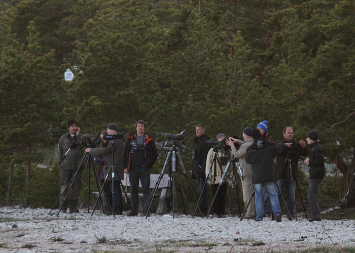 Estbirdingu kevadkoosolek 2013
9. koosolekul osalejad staiamas - tulemuseks 60 000+ mustvaerast
Keywords: birders