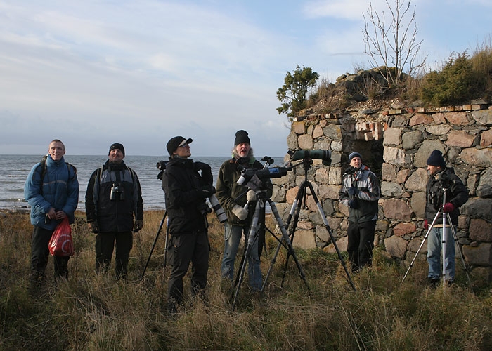 Estbirdingu sügiskoosolek 2010
Virtsu, Läänemaa, oktoober 2010

Margus Ots
Keywords: birders