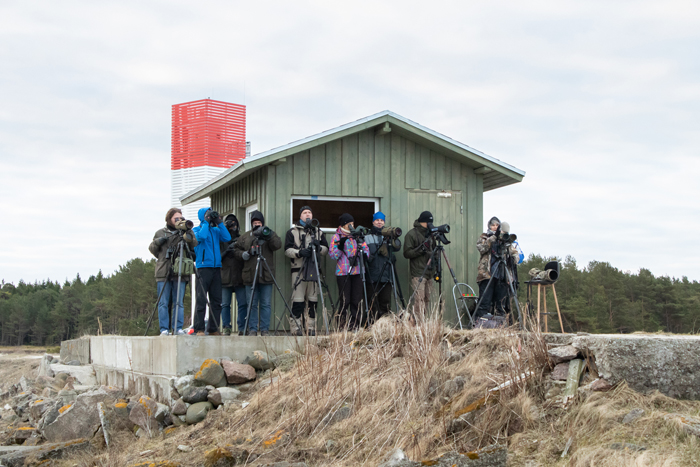 Estbirding 10 
Põõsaspea neem, 13.4.2019

Janne Põlluaas
Keywords: birders