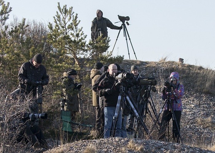 Estbirdingu kevadretk 2018
Kalana, Hiiumaa, 14.4.2018

Kauro Kuik
Keywords: birders