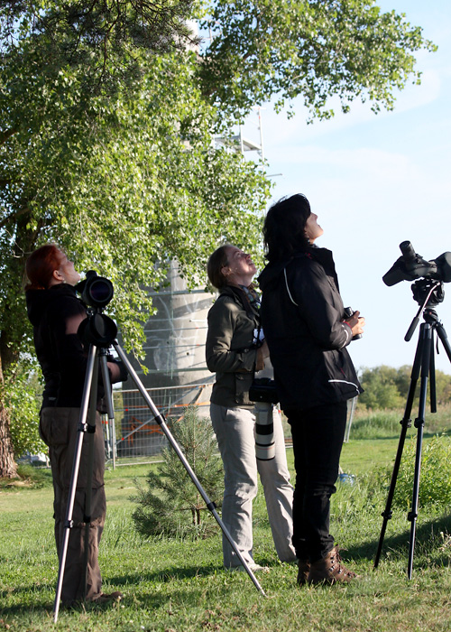 Team Eesti Naised in action at Mehikoorma
Linnuralli Estonian Open 2013

Andris Klepers
Keywords: birders