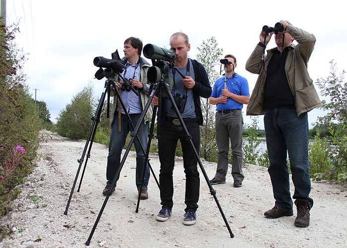 Team Rc & Co
Linnuralli Estonian Open 2011

UP
Keywords: birders