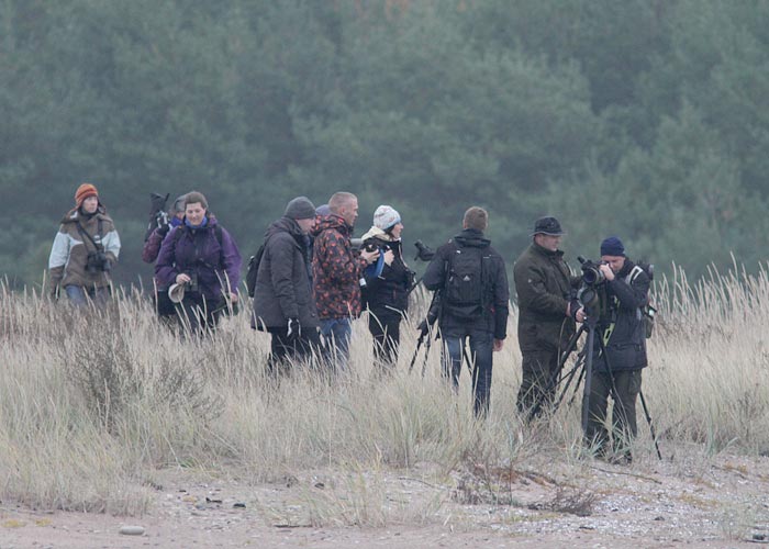 EB sügiskoosolek 2013
Harilaid, Saaremaa, 27.10.2013

UP
Keywords: birders