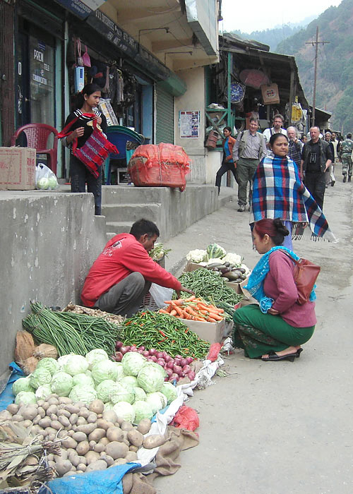 Turul
Arunachal Pradesh, märts 2010

UP
