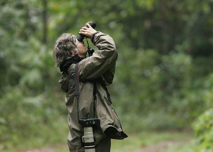 Annika vaatlemas
Eaglenest NP, märts 2010

UP
Keywords: birders