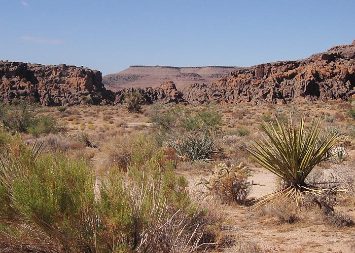 Arizona
Väike kanjon Arizonas. Mojave Desert NP.

L. Sadam
Keywords: Arizona