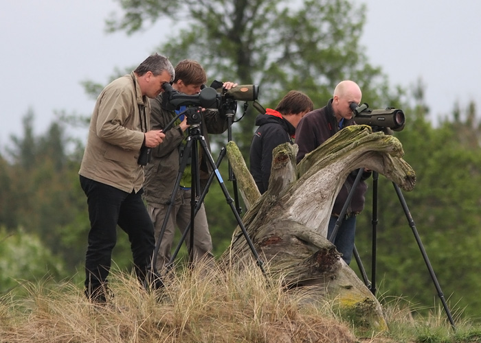 Tühja merd torutamas
Peeter, Andris, Margus ja Mihkel 
Läti, 25.5.2013

Mariliis Märtson
Keywords: birders