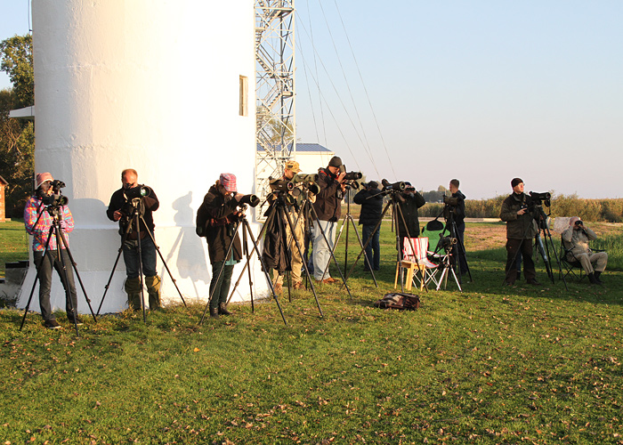 Estbirdingu sügiskoosolek 2014
Estbirderid on korraldanud 12 ühisretke. > Mariliis, Riho, Liis, Lauri, Margus, Rene, Kalle, Raul, Andres, Kuido.

Mehikoorma, 21.9.2014.

UP
Keywords: birders