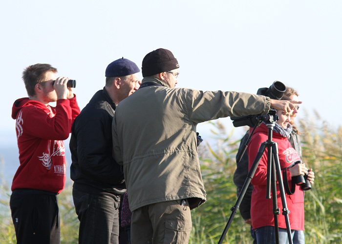 Estbirdingu sügiskoosolek 2014
Hannes õpetab algajatele keltsalinnu määramist. >Peeter, Tiit, Hannes, Monika, Urmas.

Mehikoorma, 21.9.2014.

UP
Keywords: birders