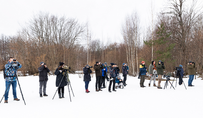 Mustkurk-raadi bongamine
Muhu saar, 02.03.2022

Kauro Kuik
Keywords: birders