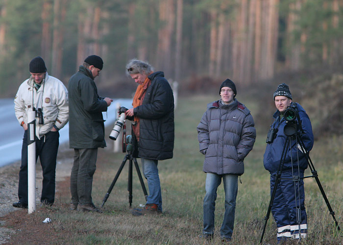 Suur-turteltuvi, Piirumi, 17.11.07
Seltskond hipisid Via Baltica ääres hääletamas. Keegi peale ei võta...

UP
Keywords: twitchers