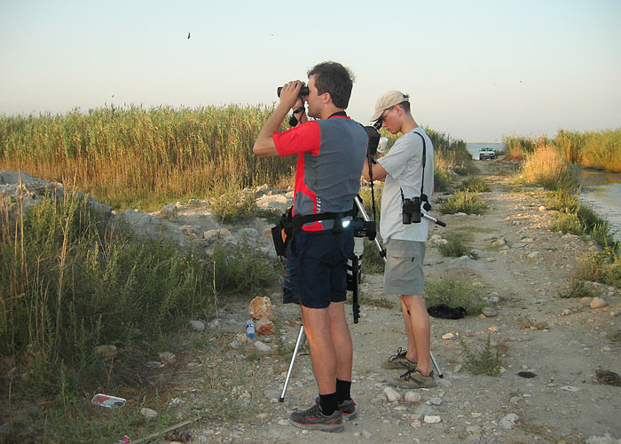 Turistid Eestist

L. Sadam
Keywords: birders