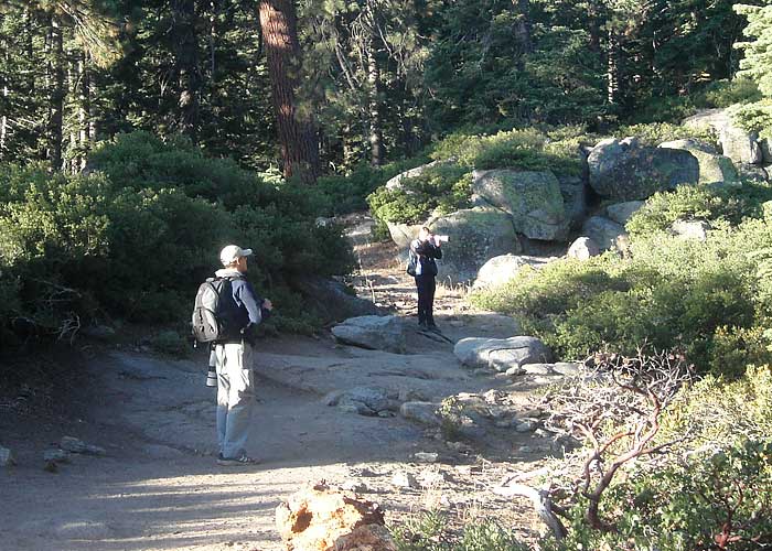 Vaatlemas
Yosemite rahvuspark, California

L.Sadam
Keywords: birders