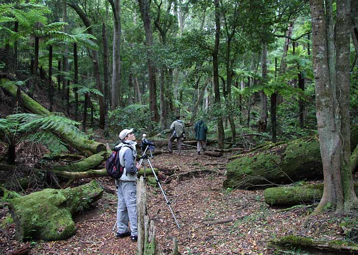 Lost in birding
Fairy Dell, november 2007

Rene Ottesson
Keywords: birders