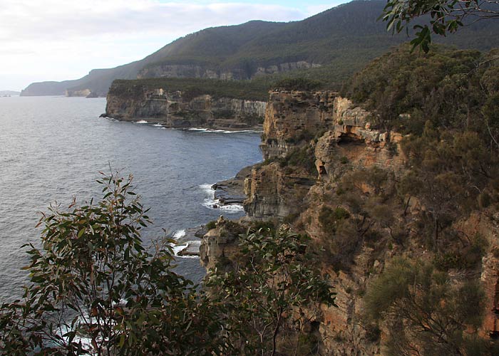 Tasmaania rannik
Austraalia, november 2007

Rene Ottesson
Keywords: sea