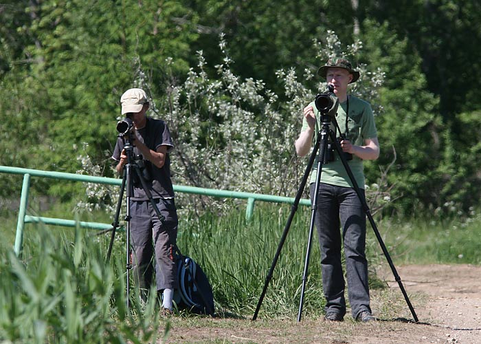 Kibu bongamas
Tarmo ja Mihkel, Haaslava, Tartumaa, 5.6.2011

Riho Marja
Keywords: birders