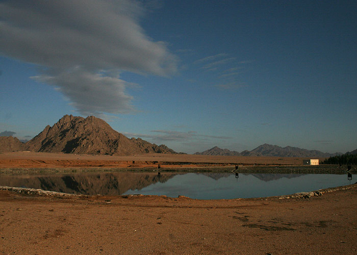 Sharm Sewage Treatment Plant
Sharm El Sheikhi solgijaam on hea linnupaik.

Egiptus, jaanuar 2010
