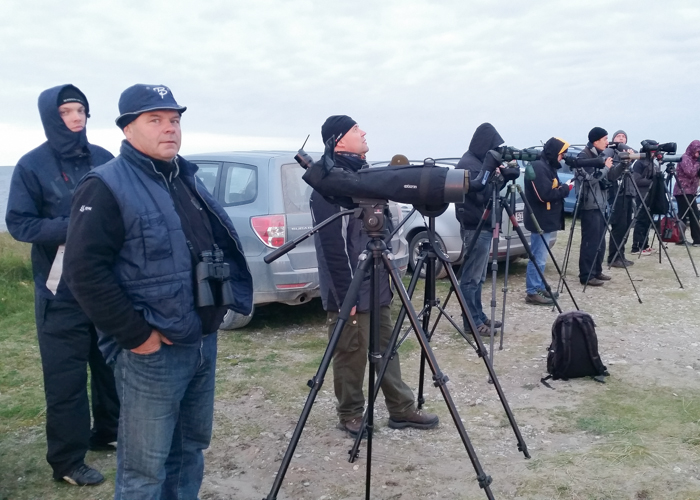 Tark ei torma
Madis, Riho ja Kalle teavad, et Põõsaspeal võib linde näha isegi käed taskus seistes. Estbirdingu sügiskoosolek 2015, Põõsaspea neem, 4.10.2015.

UP
Keywords: birders