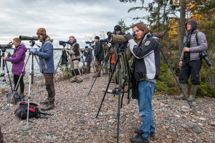 Estbirdingu sügisretk 2017
Pedassaare neem, Lääne-Virumaa, 15.10.2017

Autor: Kauro Kuik
Keywords: birders