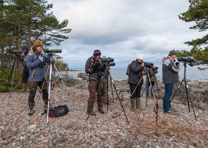 Estbirdingu sügisretk 2017
Pedassaare neem, Lääne-Virumaa, 15.10.2017

Autor: Kauro Kuik
Keywords: birders