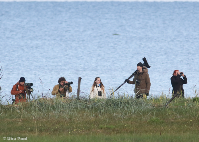 Estbirdingu sügiskoosolek 2016
Estbirderid 16. koosolekul, sel sügisel Kablis. Art, Pelle, Sigrid, Sten ja Thea on leeterüdi otsimas.

UP
Keywords: birders