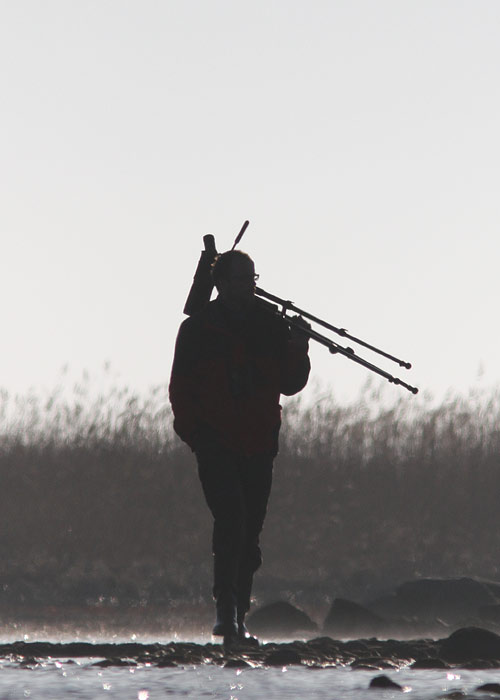 Heikki seirab
Saaremaa, mai 2013

UP
Keywords: birders