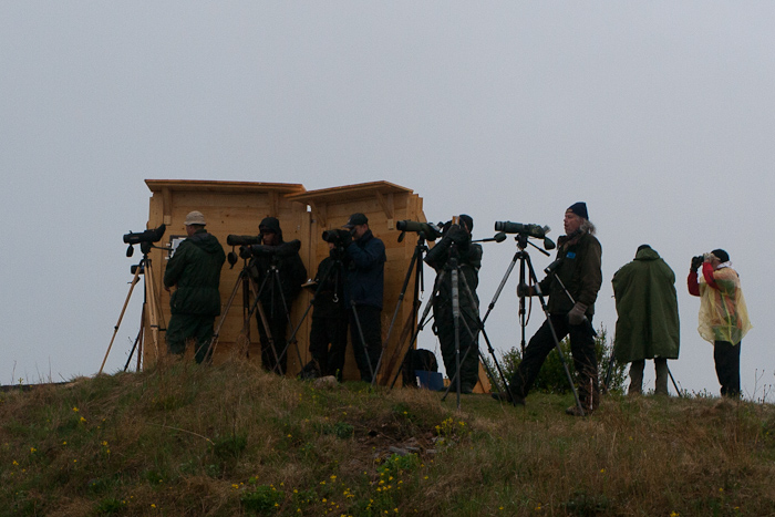 Estbirdingu kevadkoosolekul osalejad Ristnas
Mai 2011

Hannes Pehlak
Keywords: birders